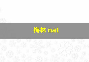 梅林 nat